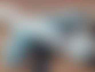 ¿Colecciones hechas de la piel de los aviones?