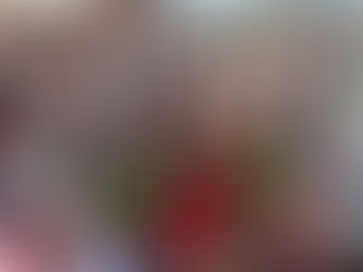 ELECCIONES PARLAMENTARIAS EN VENEZUELA: OTRA VUELTA DE TUERCA DEL PODER FRAUDULENTO