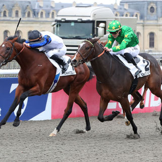 A winning weekend for WOODED and ZELZAL’s progeny