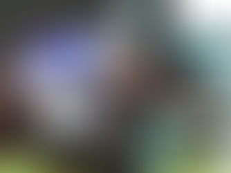 Piana par Zelzal s'impose à Saint-Cloud