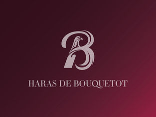 Exclusive Offer from Haras de Bouquetot's Consignment at the Arqana February Sale 