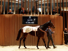 Zelzal & Wooded leurs produits séduisent sur le ring