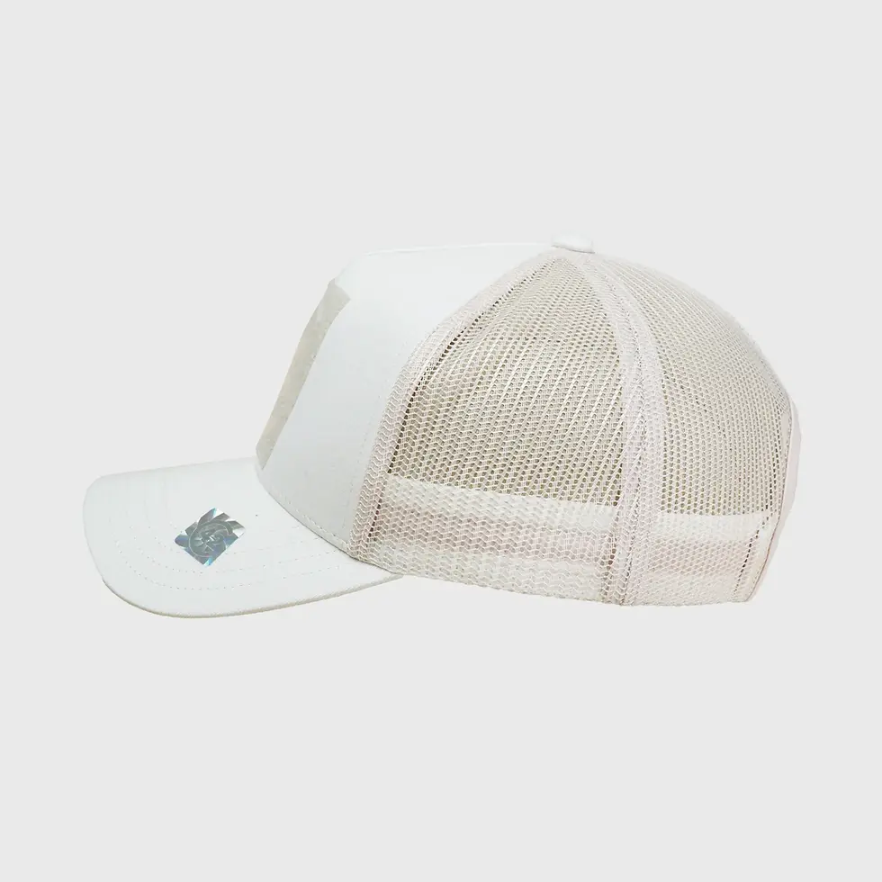 Miniaturbild: C42 BEIGE