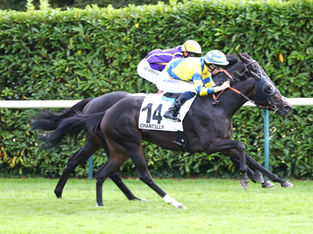 Wooded's New Way Baby stikes at Chantilly