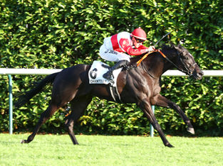 Jawwal by Wooded strikes again