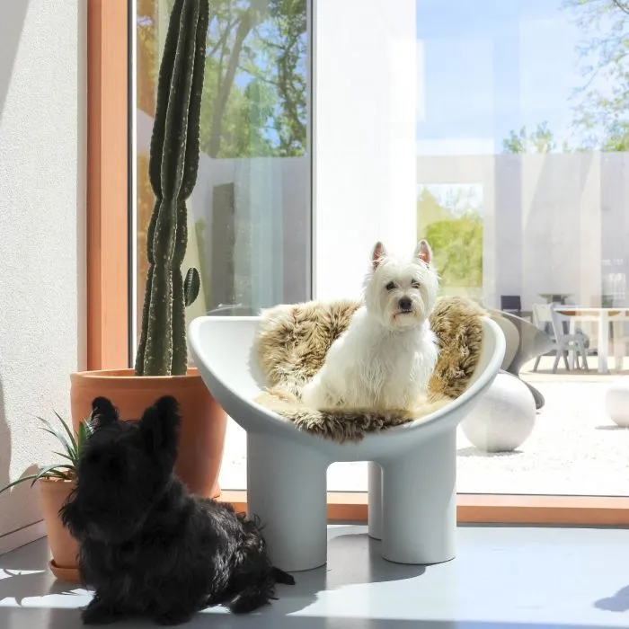 縮圖：Roly Poly 單椅