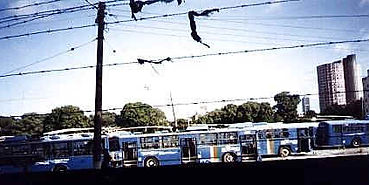506.jpg
