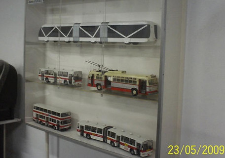251.jpg