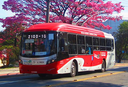 452.jpg