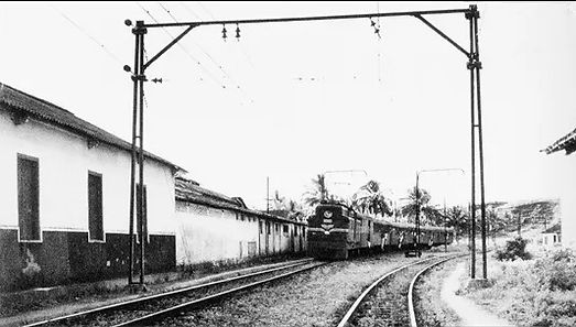 vfflb-47.jpg