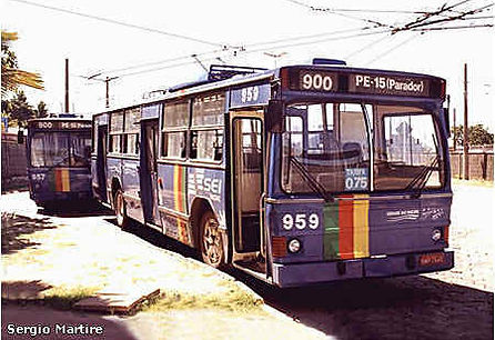 498.jpg