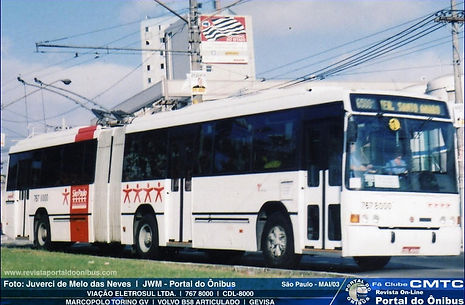 545.jpg