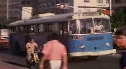 491.jpg