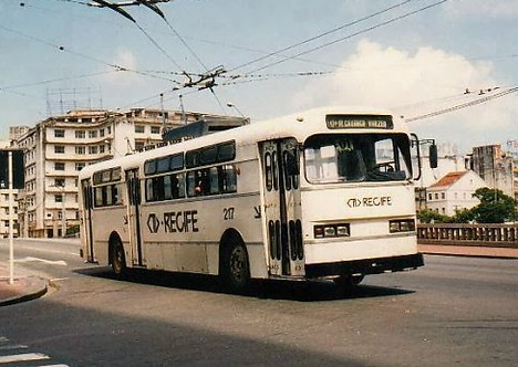 494.jpg