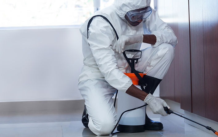 yiranding-yOWUAKYk46Y-unsplash%2520copy_