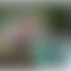 July 24, 2019