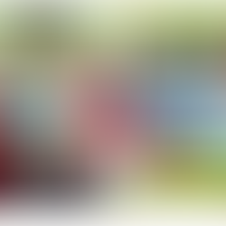 November 15, 2019