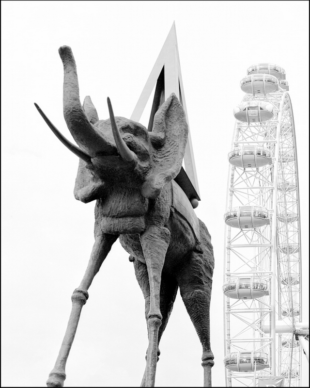 Elephant and Eye