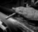 CLUB-FITTING-PHOTOS---cutting-machine-BW_edited_edited.jpg