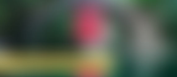 أجمل 10 مناطق سياحية طبيعية في تركيا (صور)