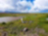 Puno: 2 Day Colca Canyon ending Arequipa