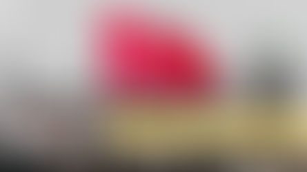 ما هي حقوق المستثمر في تركيا 2024؟