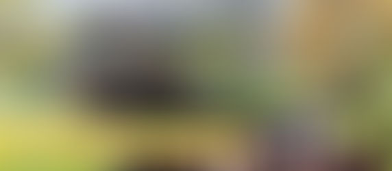 الحديقة اليابانية في إسطنبول.. تأخذك في رحلة إلى اليابان