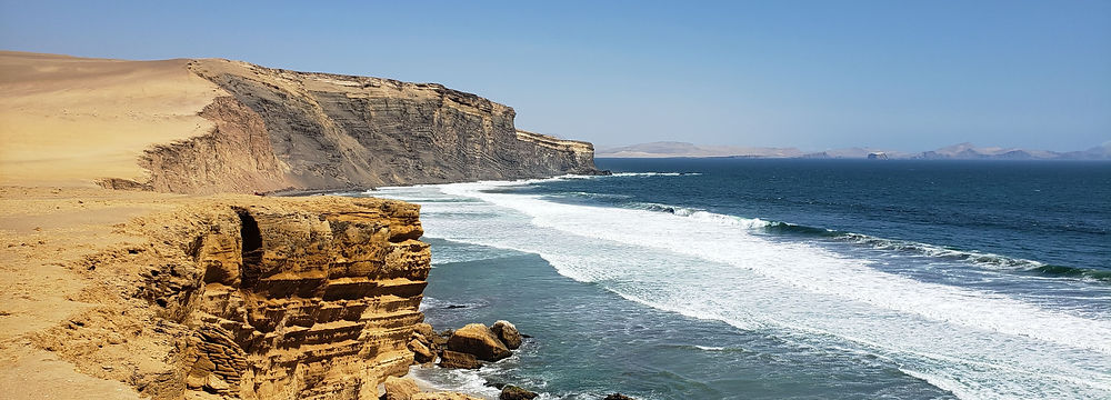 Half day Tour Natural Reserve Paracas