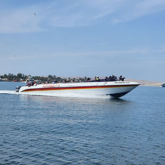 half day tour Ballestas Islands