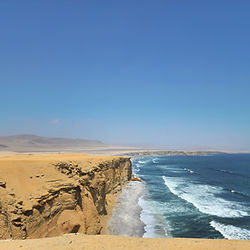 Half day Tour Natural Reserve Paracas