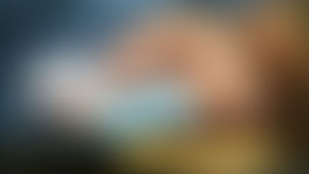 من هي الفئات المعفية من استخراج تصريح عمل في تركيا؟