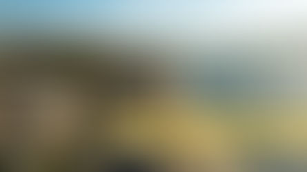 أفضل مناطق إسطنبول لشراء العقارات التركية للعام 2024