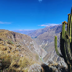 2 Day Trekking to Colca Canyon