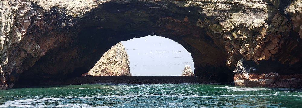 half day tour Ballestas Islands