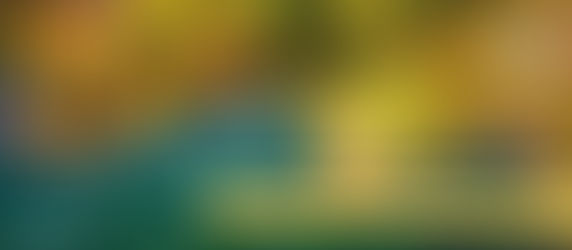 الأصفر والأحمر يزينان خريف طرابزون التركية