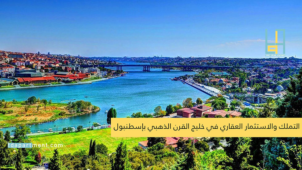 الاستثمار العقاري في منطقة السلطان أيوب
