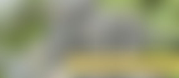 مشروع لوتس إسطنبول يجمع بين سحر الطبيعة وُمتطلبات الحياة العصرية