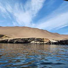 full day tour Ballestas islands Paracas national reserve and buggy in Huacachina Oasis