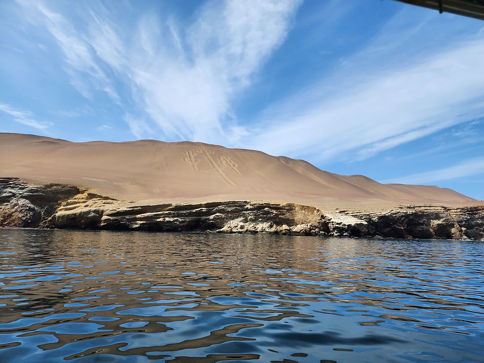 AB PARACAS: BALLESTAS-INSELN, NATIONALRESERVAT & BUGGY-ABENTEUER IN DER OASE HUACACHINA