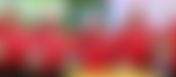 وزير الصناعة التركي: سندعم ريادة الأعمال في كافة القطاعات الصناعية