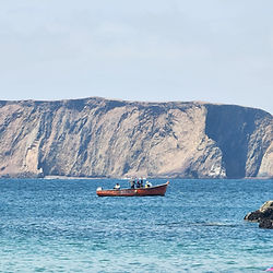 Half day Tour Natural Reserve Paracas