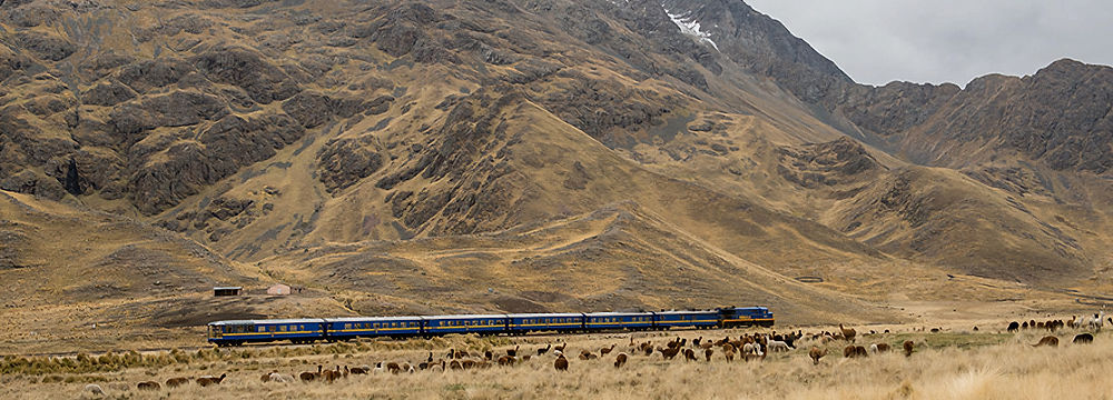 Train Titicaca Cusco Puno