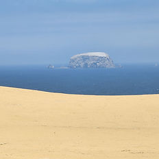 Paracas Natural Reserve