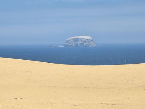 HALF-DAY EXCURSION TO THE NATURAL RESERVE PARACAS
