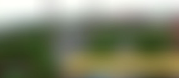 جامع الصحابي الجليل أبي أيوب الأنصاري في إسطنبول