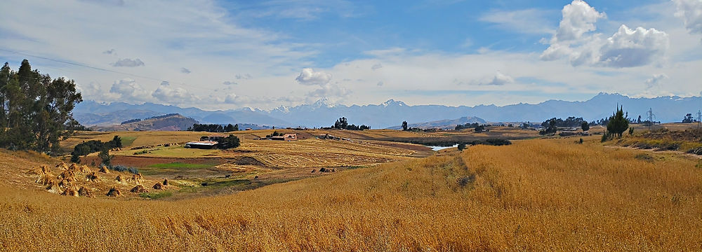 2 day sacred valley and machu picchu