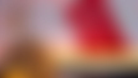 ما هي شروط الحصول على الجنسية التركية 2024؟