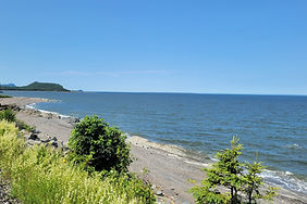 20220710_111115.jpg