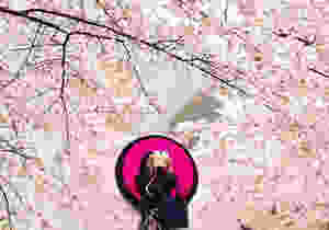 japan weather