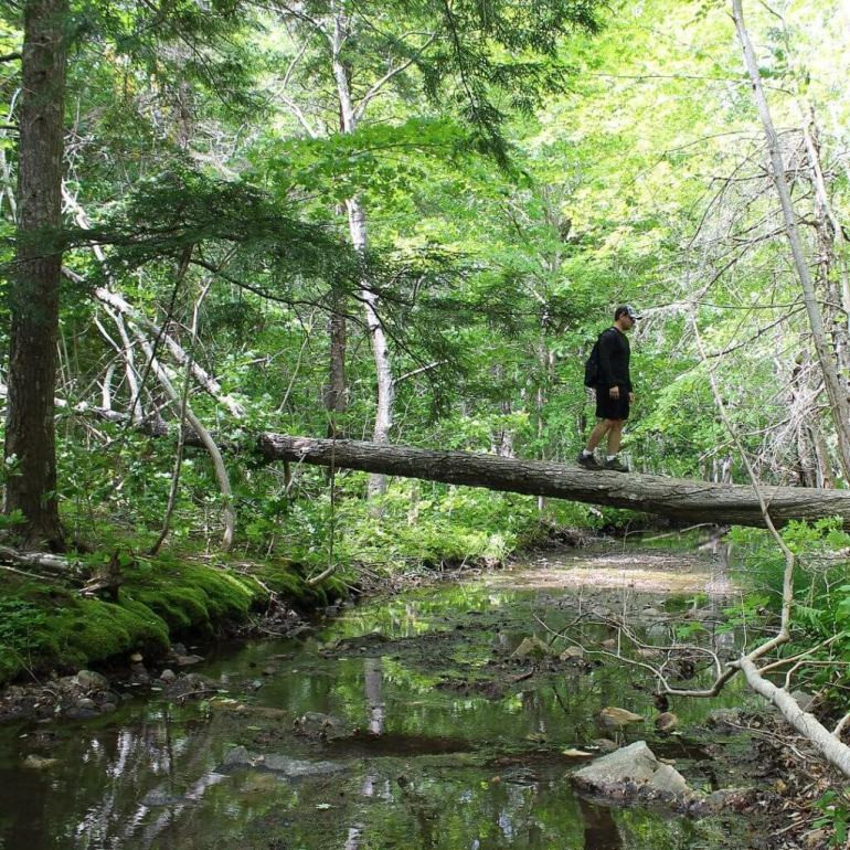 Cape Breton Highlands National Park